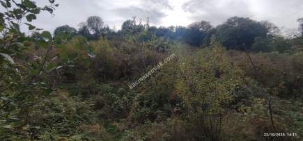 Beşikdüzü Çeşmeönünde Satılık Arsa 10