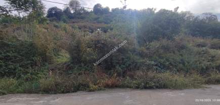 Beşikdüzü Çeşmeönünde Satılık Arsa 5