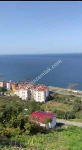 Trabzon Çarşıbaşında Full Manzaralı Satılık İmarlı Arsa 5