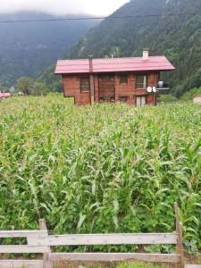 Trabzon Uzungölde Satılık Arsa 11