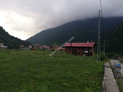Trabzon Uzungölde Satılık Arsa 9