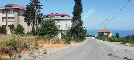 Trabzon 1. Nolu Bostancı Da Satılık 725 M2 İmarlı Arsa 7