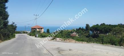 Trabzon 1. Nolu Bostancı Da Satılık 725 M2 İmarlı Arsa 1