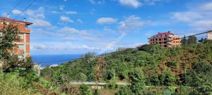 Pelitli Yeşilköy'de Satılık İmarlı 336 Metre Arsa 8