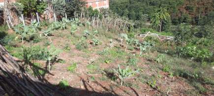 Pelitli Yeşilköy'de Satılık İmarlı 336 Metre Arsa 2