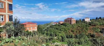 Pelitli Yeşilköy'de Satılık İmarlı 336 Metre Arsa 3