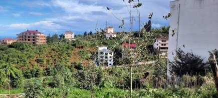 Pelitli Yeşilköy'de Satılık İmarlı 336 Metre Arsa 4