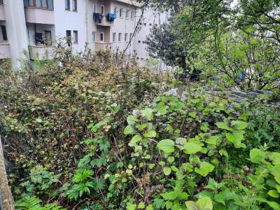 Trabzon Üniversite Mah.de Satılık İmarlı 251 M2 Arsa 2