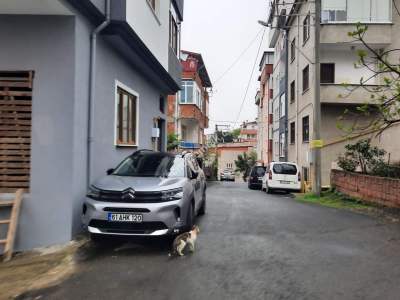 Trabzon Kalkınma Üniversite Mahallesi 250 Metre İmarlı 4