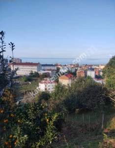 Vakfıkebir Hürriyette Satılık Parselli Konut Arsası 4