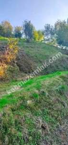 Vakfıkebir Hürriyette Satılık Parselli Konut Arsası 7