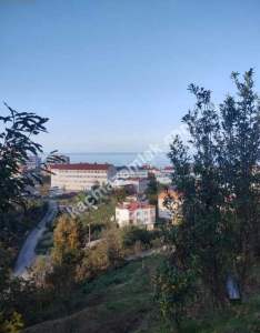 Vakfıkebir Hürriyette Satılık Parselli Konut Arsası 2