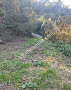 Vakfıkebir Hürriyette Satılık Parselli Konut Arsası 6