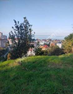 Vakfıkebir Hürriyette Satılık Parselli Konut Arsası 3