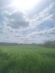 Sakarya Adapazarı Kayrancık'ta İmarlı Yola Cepheli Ars 10