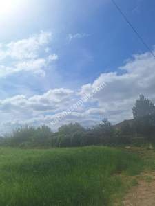 Sakarya Adapazarı Kayrancık'ta İmarlı Yola Cepheli Ars 11