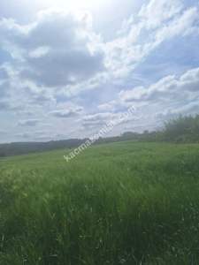 Sakarya Adapazarı Kayrancık'ta İmarlı Yola Cepheli Ars 6