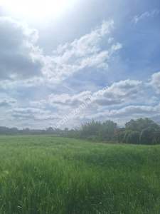 Sakarya Adapazarı Kayrancık'ta İmarlı Yola Cepheli Ars 7