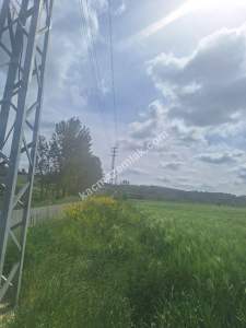 Sakarya Adapazarı Kayrancık'ta İmarlı Yola Cepheli Ars 5