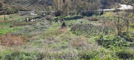 Trabzon Akyazı Da Satılık Ticari+ Konut İmarlı Arsa 6