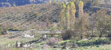 Trabzon Akyazı Da Satılık Ticari+ Konut İmarlı Arsa 4