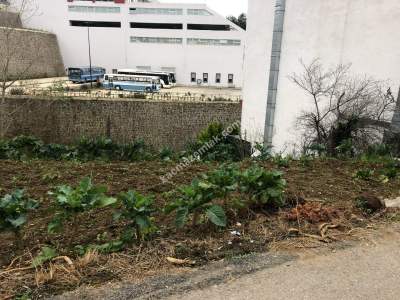 Trabzon Konaklar Katü D Kapısında Satılık İmarlı Arsa 6