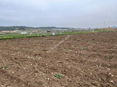 Adana Karaisalı Yoluna Sıfır Satılık Ticari Arazi 5