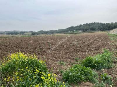 Adana Karaisalı Yoluna Sıfır Satılık Ticari Arazi 6