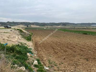 Adana Karaisalı Yoluna Sıfır Satılık Ticari Arazi 1