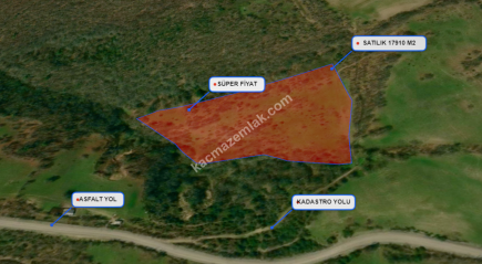 Balıkesir Balya Atatürk' De 17910 M2 Satılık Tarla 8