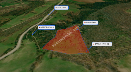 Balıkesir Balya Atatürk' De 17910 M2 Satılık Tarla