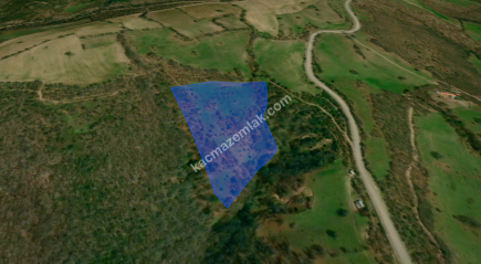 Balıkesir Balya Atatürk' De 17910 M2 Satılık Tarla 20