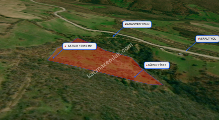 Balıkesir Balya Atatürk' De 17910 M2 Satılık Tarla 3