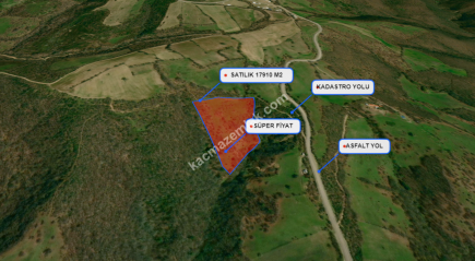 Balıkesir Balya Atatürk' De 17910 M2 Satılık Tarla 10