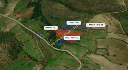 Balıkesir Balya Atatürk' De 17910 M2 Satılık Tarla 9