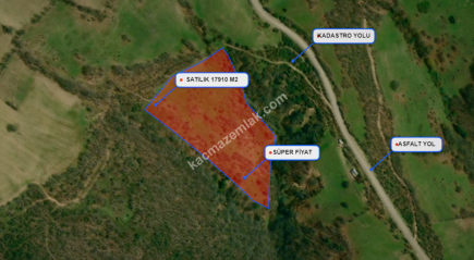 Balıkesir Balya Atatürk' De 17910 M2 Satılık Tarla 4