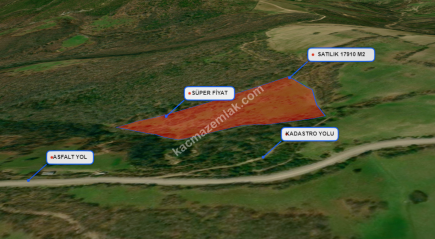 Balıkesir Balya Atatürk' De 17910 M2 Satılık Tarla 16