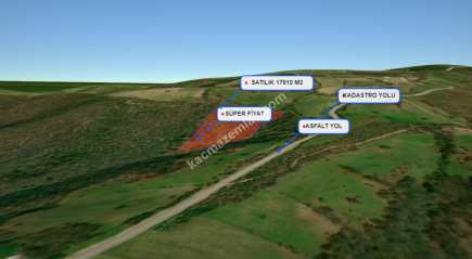 Balıkesir Balya Atatürk' De 17910 M2 Satılık Tarla 2