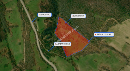 Balıkesir Balya Atatürk' De 17910 M2 Satılık Tarla 12