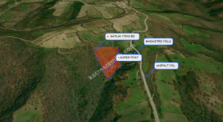 Balıkesir Balya Atatürk' De 17910 M2 Satılık Tarla 14