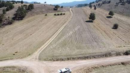 Balıkesir Sındırgı Işıklar' Da Satılık Tarla 6554 M2 4