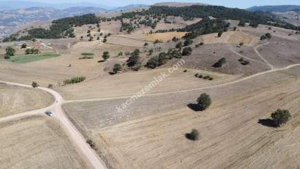 Balıkesir Sındırgı Işıklar' Da Satılık Tarla 6554 M2 8