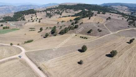 Balıkesir Sındırgı Işıklar' Da Satılık Tarla 6554 M2 3