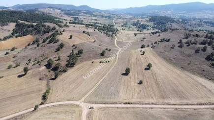 Balıkesir Sındırgı Işıklar' Da Satılık Tarla 6554 M2 1