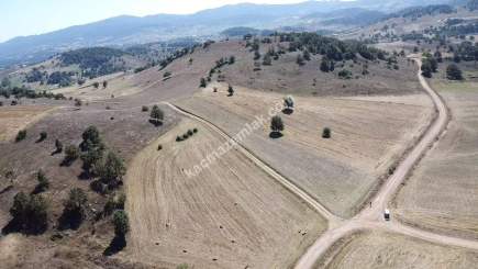 Balıkesir Sındırgı Işıklar' Da Satılık Tarla 6554 M2 6