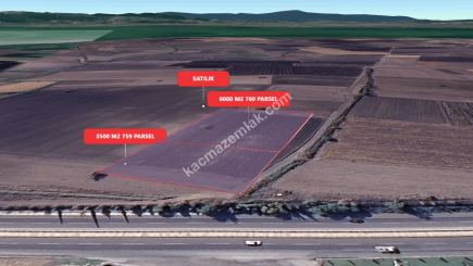 Bursa Karacabey Gölkıyı 9500 M2 Satılık Arazi 8