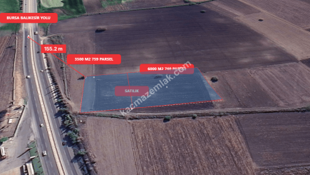Bursa Karacabey Gölkıyı 9500 M2 Satılık Arazi 4