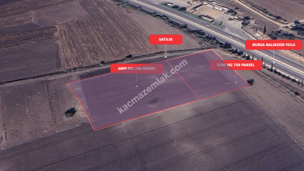 Bursa Karacabey Gölkıyı 9500 M2 Satılık Arazi 7