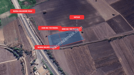 Bursa Karacabey Gölkıyı 9500 M2 Satılık Arazi 9