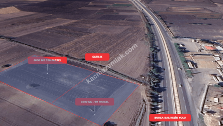 Bursa Karacabey Gölkıyı 9500 M2 Satılık Arazi 5